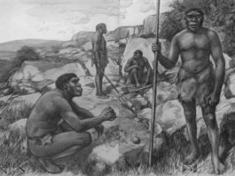 Prehistoric Settlements in Sri Lanka