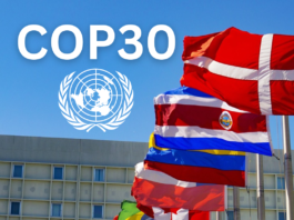 2025 United Nations Climate Change Conference COP30